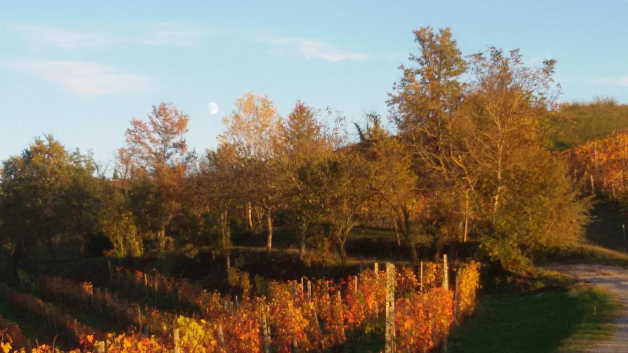 Cascina Torello Dogliani Exteriér fotografie
