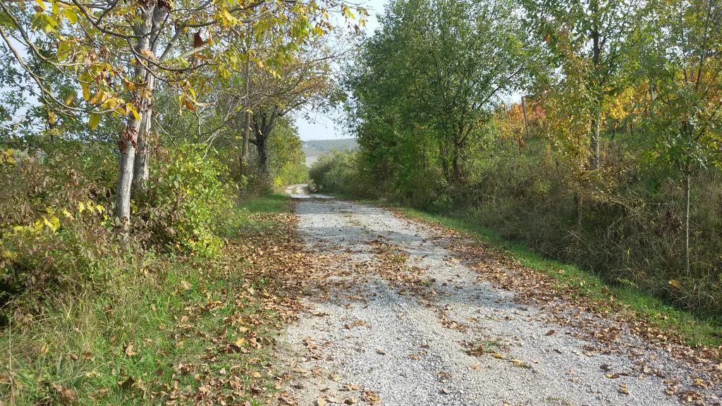 Cascina Torello Dogliani Exteriér fotografie