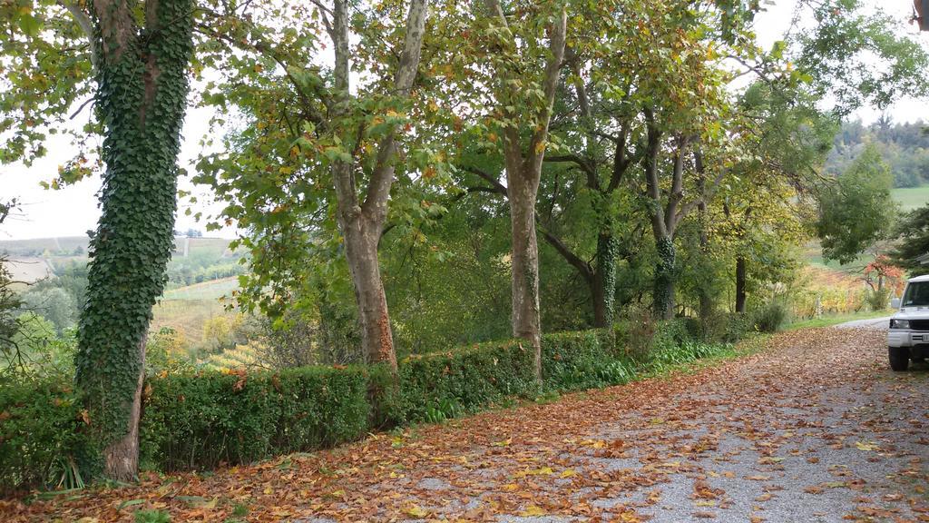 Cascina Torello Dogliani Exteriér fotografie