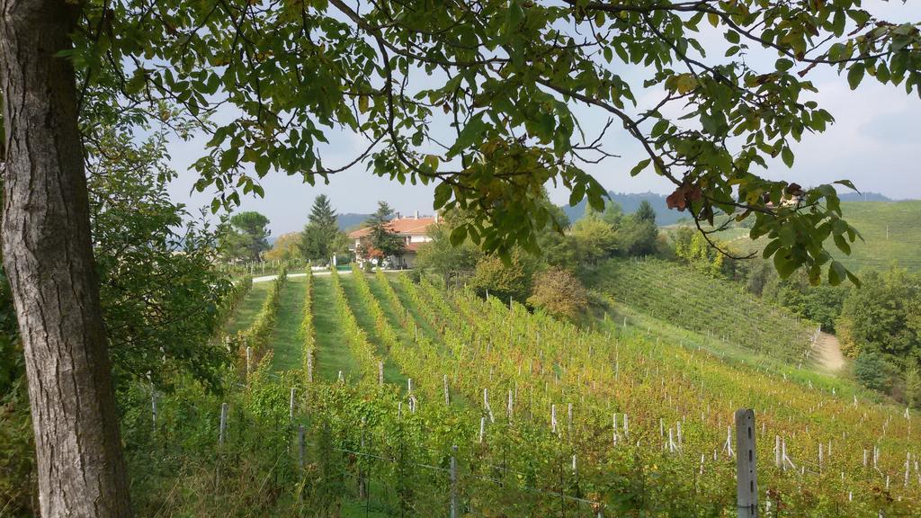 Cascina Torello Dogliani Exteriér fotografie