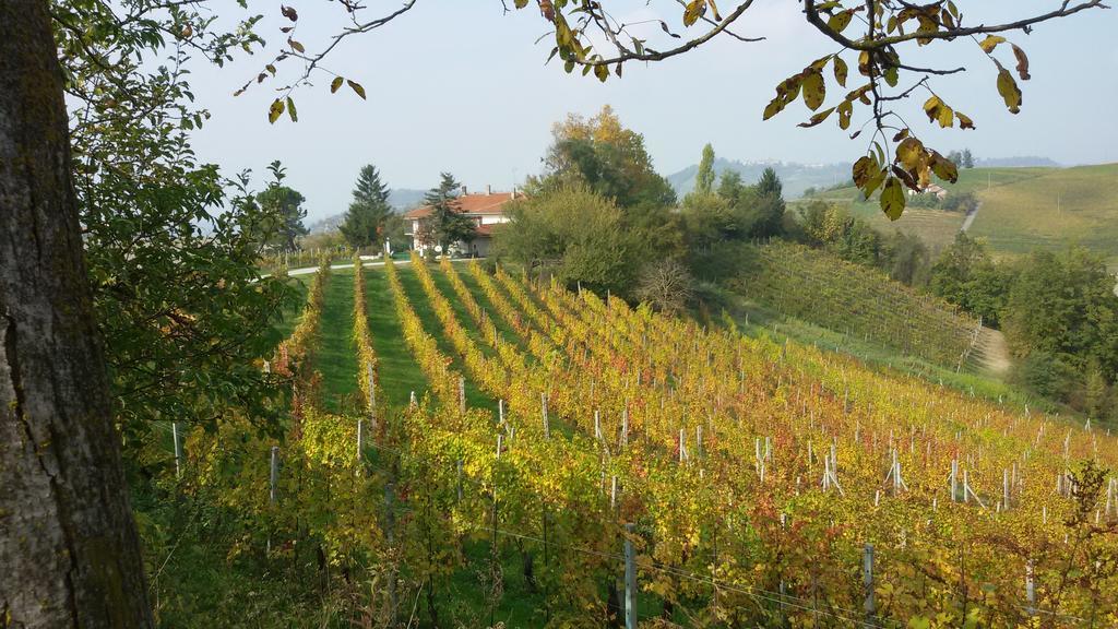 Cascina Torello Dogliani Exteriér fotografie