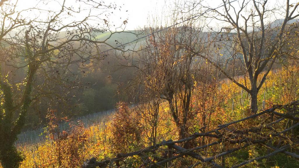 Cascina Torello Dogliani Exteriér fotografie