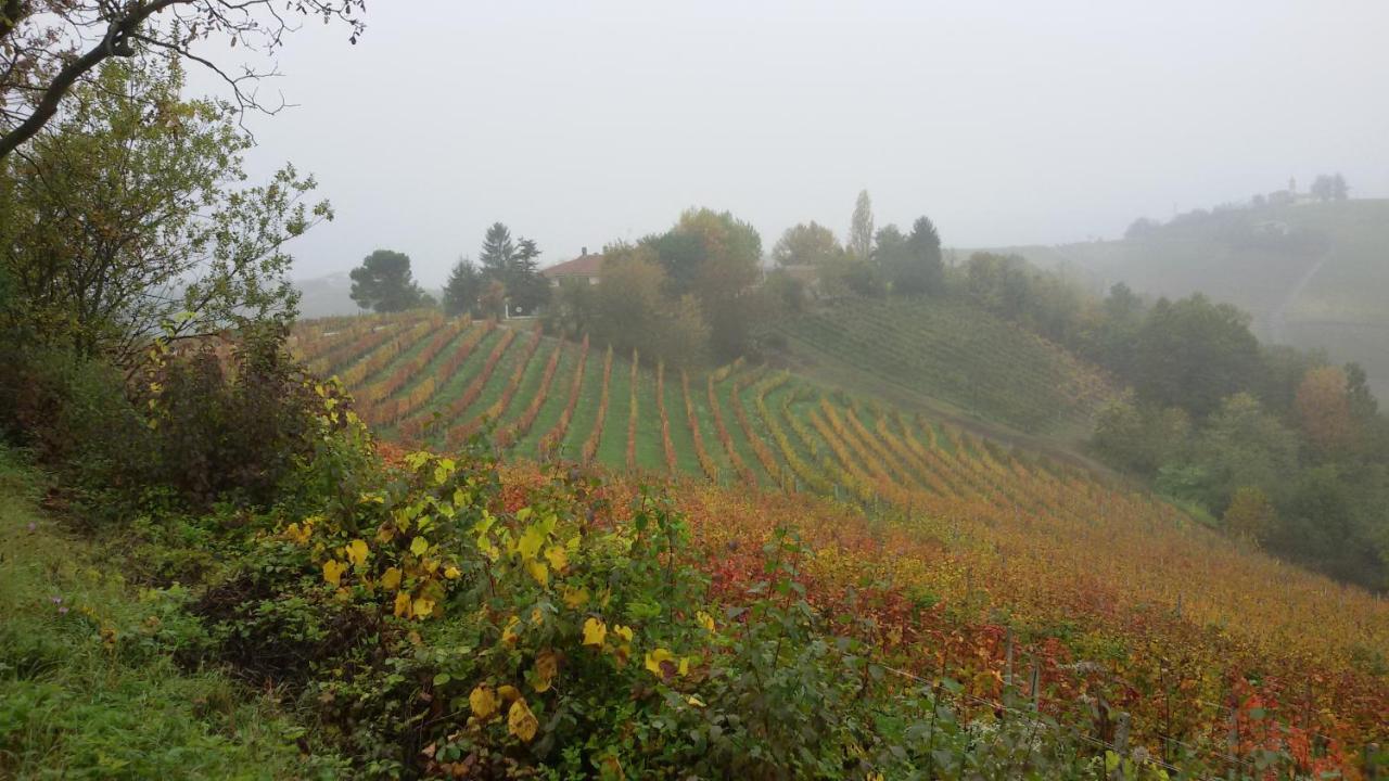 Cascina Torello Dogliani Exteriér fotografie
