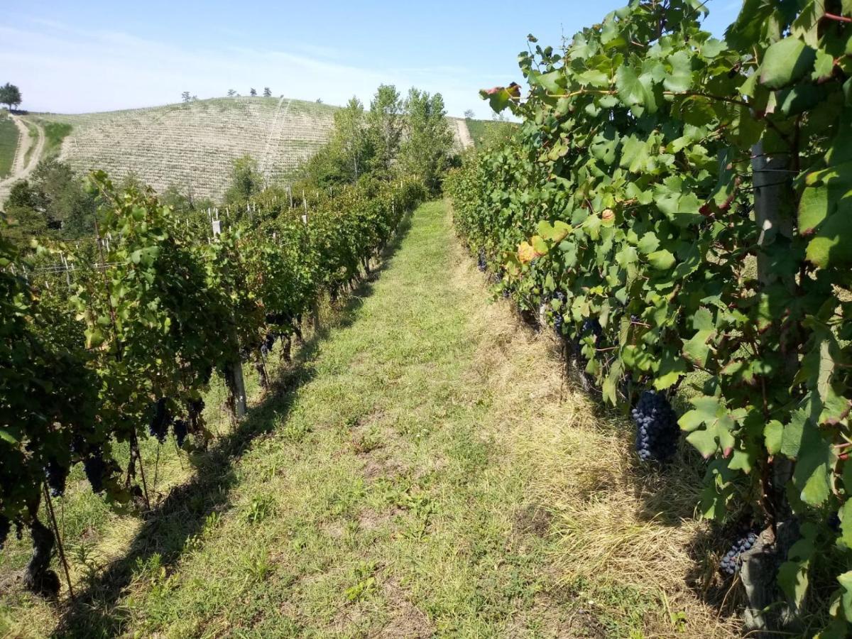 Cascina Torello Dogliani Exteriér fotografie