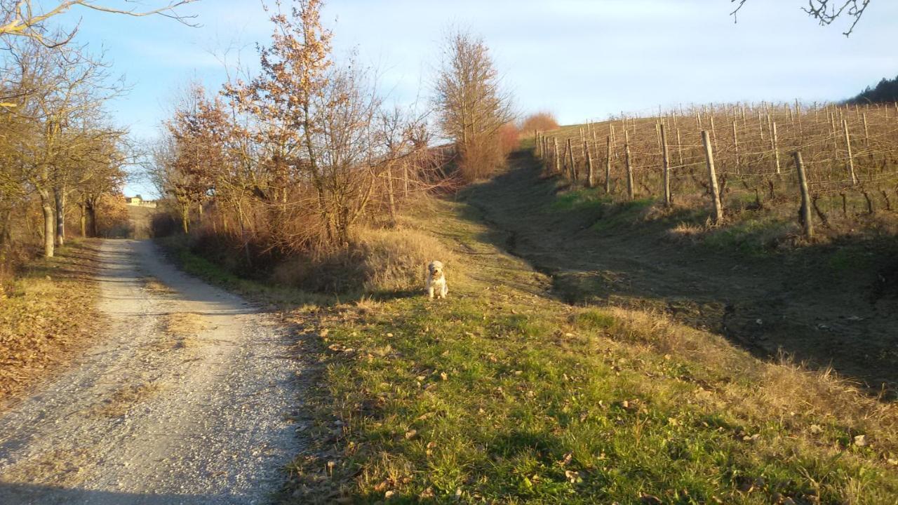 Cascina Torello Dogliani Exteriér fotografie